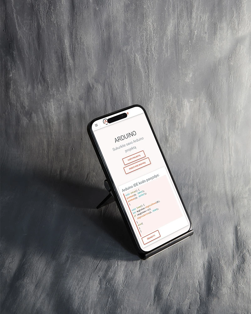 INTERNETO SVETAINĖS KŪRIMAS