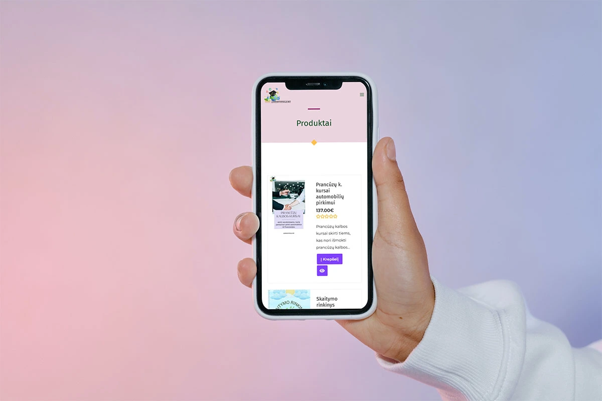 INTERNETO SVETAINĖS KŪRIMAS