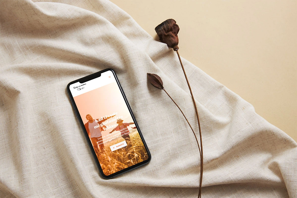 Turinio valdymo sistema