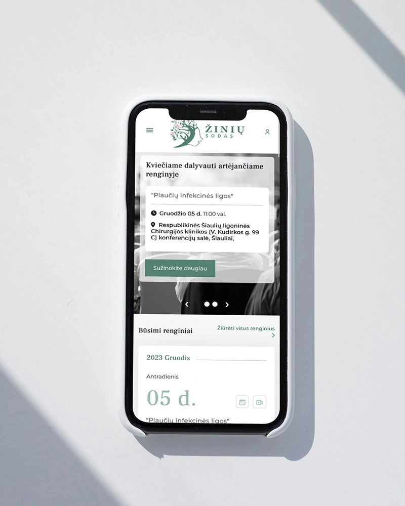 INTERNETO SVETAINĖS KŪRIMAS